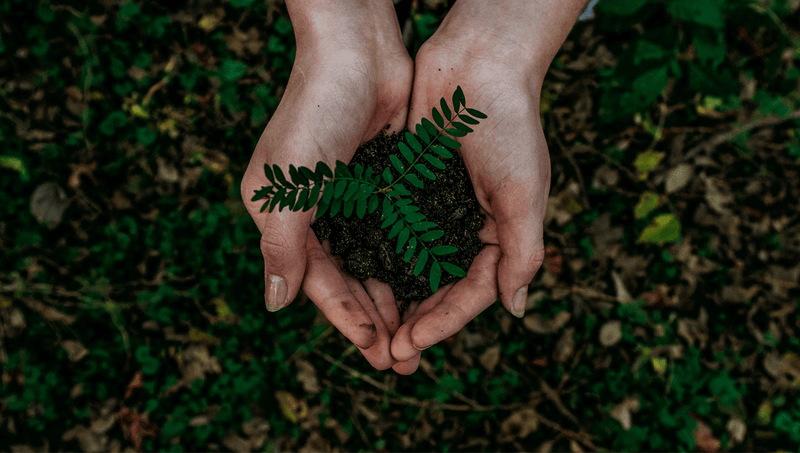 2023 Criterion Industries Environmental/Sustainability Statement