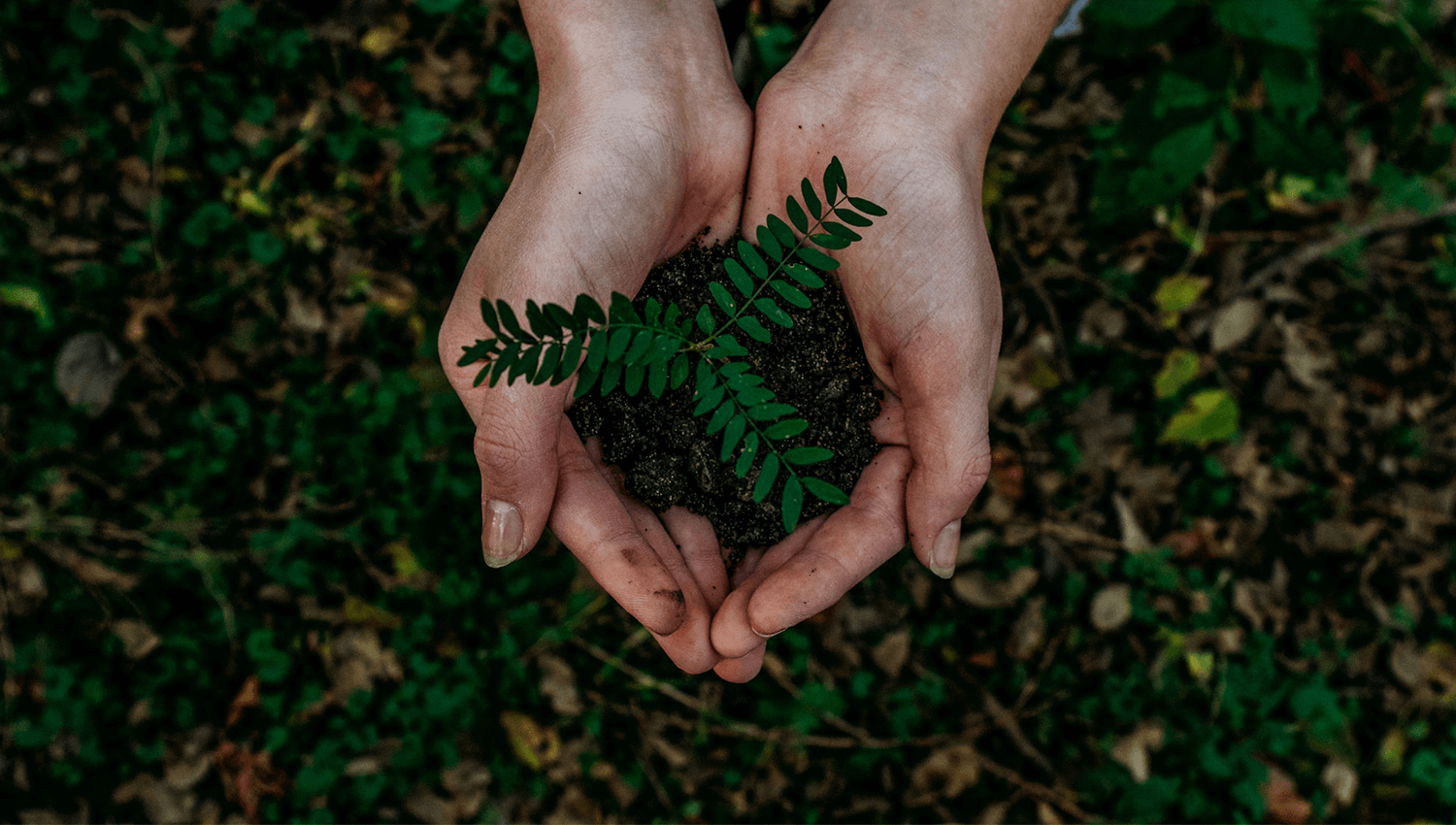 2023 Criterion Industries Environmental/Sustainability Statement