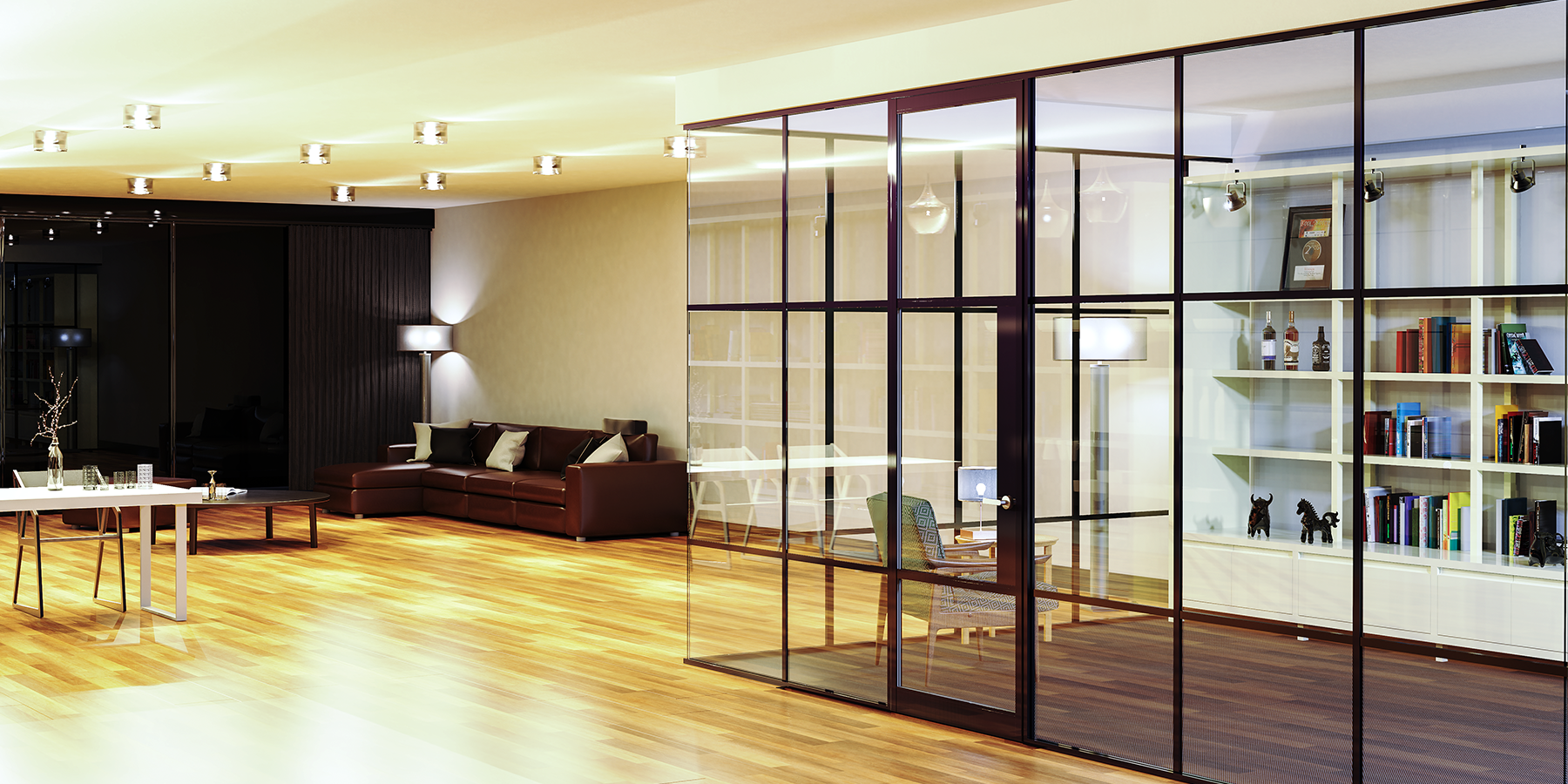 Aluminium Partitioning & aluminium door